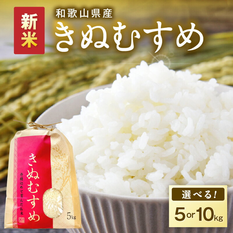 【ふるさと納税】令和7年産 和歌山県産 「きぬむすめ」 精米 5kg 10kg