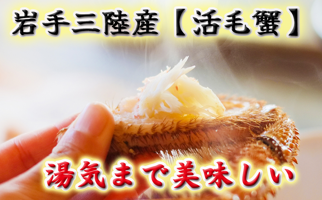 【令和8年発送先行予約】【訳あり】三陸産！活毛ガニ1kg (2～4杯(尾))【2026年2月～4月発送】【15】