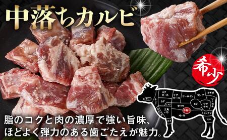 牛中落ちカルビ 塩麹タレ漬け900g≪みやこんじょ特急便≫_LG-3324-Q_(都城市)  味付き牛中落ちカルビ 300gパック 真空 小分け 900g
