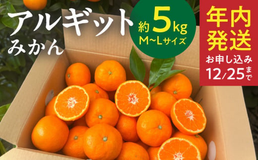 YA1003_完熟 アルギット みかん 5kg M～L サイズ 年内発送