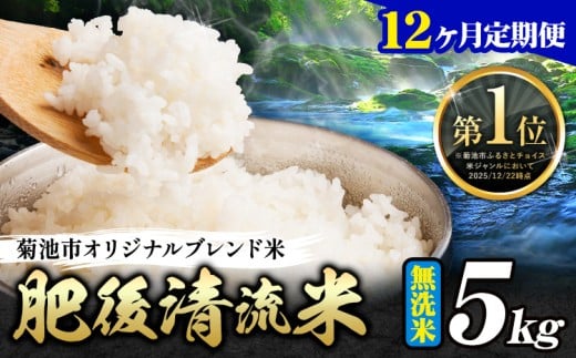 【12ヶ月定期便】熊本県産 無洗米 肥後清流米 5kg 熊本県産 ふるさと納税 精米 米 こめ ふるさとのうぜい コメ お米 おこめ《お申込み翌月から出荷》