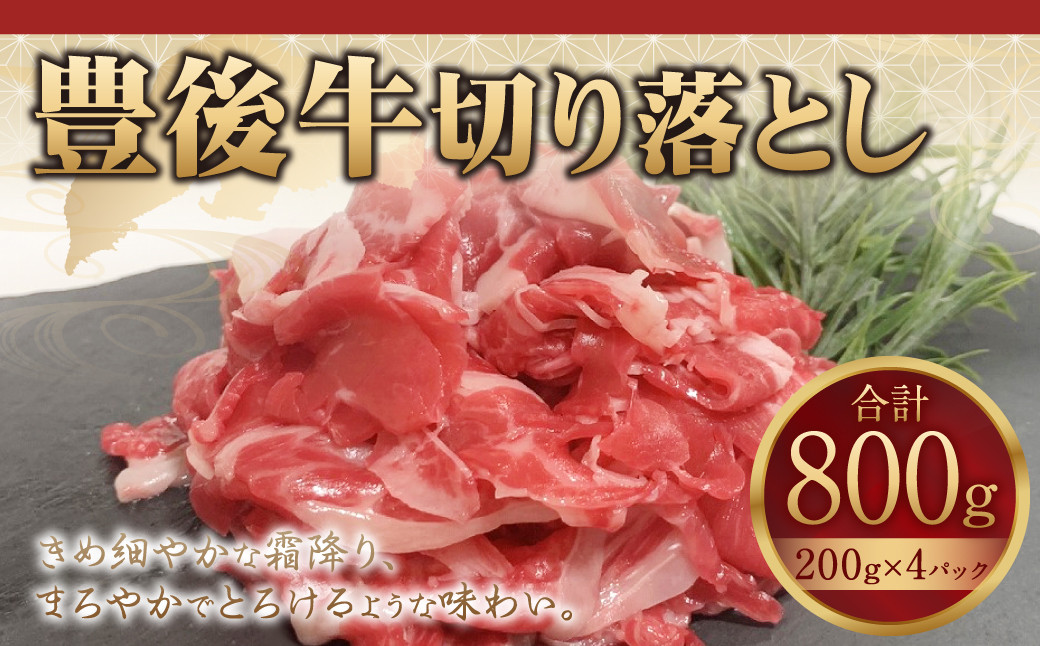 
091-729 豊後牛 切り落とし 計800g (200g×4パック) 和牛 牛肉 国産
