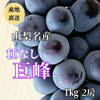 【ふるさと納税】◆先行予約◆産地直送　山梨名産!種なし巨峰　2房(計1kg)【配送不可地域：離島】【1644828】