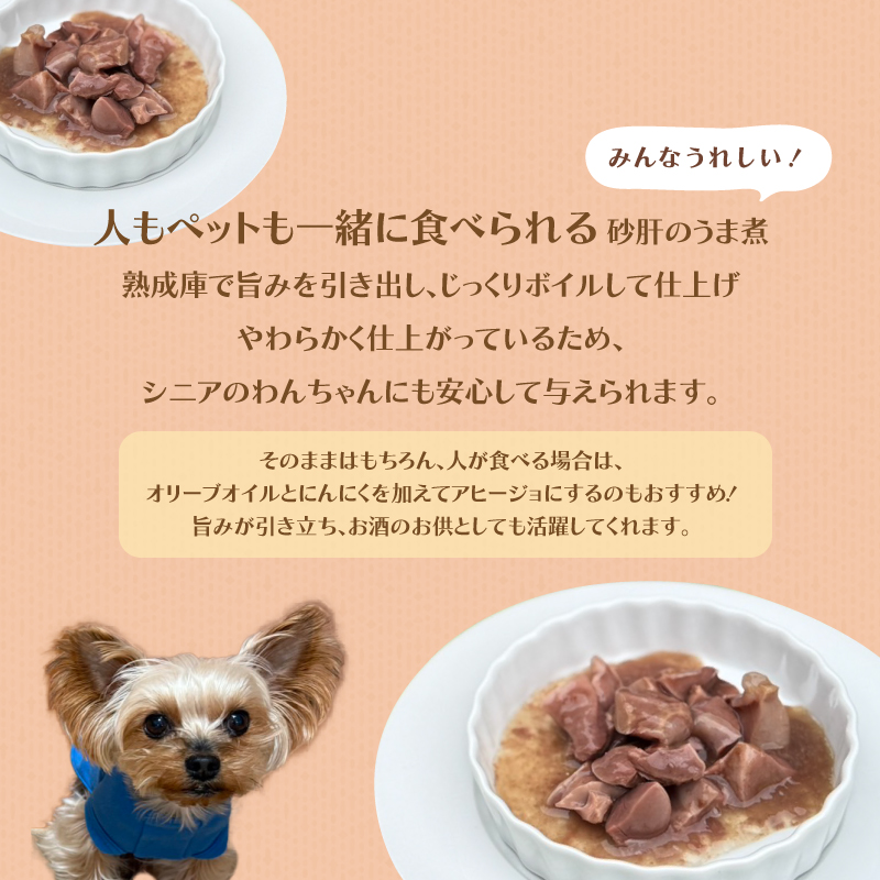 ペットフード 3種類 パック （ 高麗人参入り鶏がゆ 砂肝のうま煮 こく旨ボイルチキン） 犬 猫 ドッグフード キャットフード 安心 安全 ペット フード ペット用品 いぬ ねこ 犬用 猫用 ごはん 