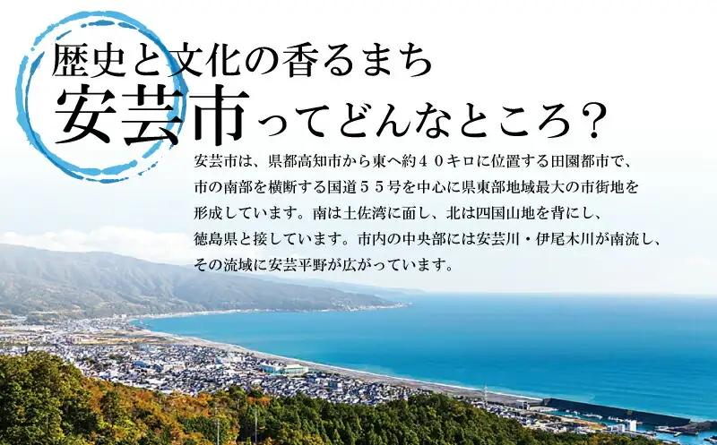 菊水 あらごしうめ酒 1800ml 1本 | お酒 高知県 安芸市