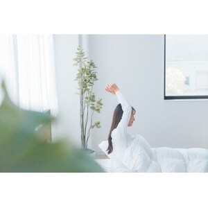 最高級羽毛アイダーダウンを使用した羽毛肌ふとん『LARM(ラーム)』キング【1702495】