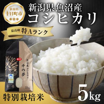 ふるさと納税 十日町市 魚沼産 コシヒカリ 特別栽培米 精米 5kg 産地直送 新潟県十日町市