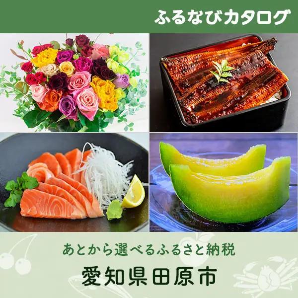 【有効期限なし！後からゆっくり特産品を選べる】愛知県田原市カタログポイント