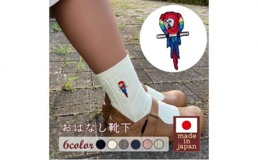 おはなし靴下 ギフトボックス アカコンゴウインコ キッズ グリーン