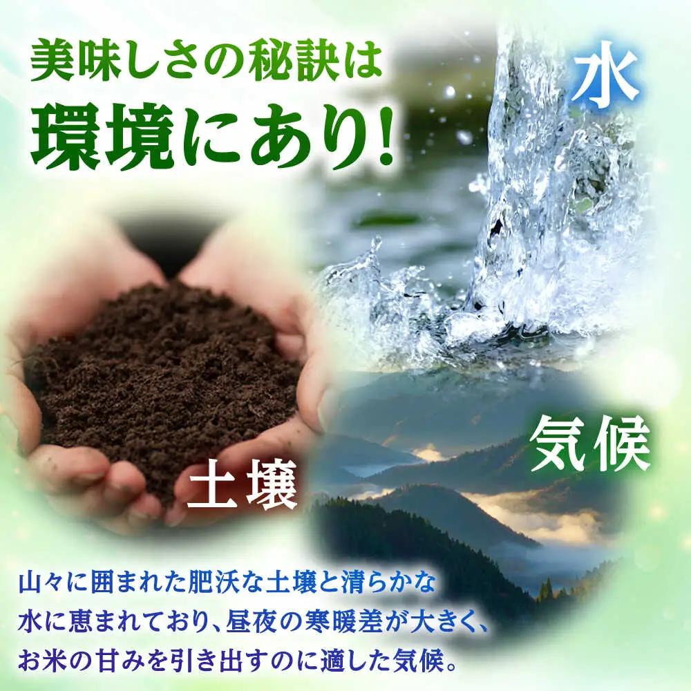 【令和7年産】無洗米 福井県産こしひかり 300g(約2合) × 10パック 計3kg  小浜市 / シマダ農園 [BFAV003]