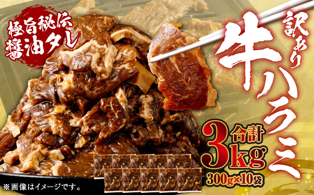 
            【先行予約】やわらか 牛ハラミ（サガリ）肉 極旨秘伝醤油タレ漬け 合計3.0kg（300g×10袋）【訳あり】【2025年6月下旬以降順次発送予定】ハラミ 牛肉 BS-147
          