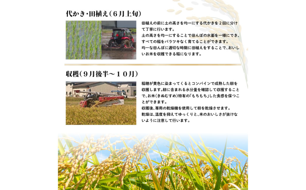 きぬむすめ 白米 30kg　岡山県倉敷市産