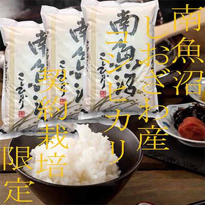 ふるさと納税 南魚沼市 【発送月固定定期便】契約栽培限定 南魚沼しおざわ産コシヒカリ 精米15Kg全9回
