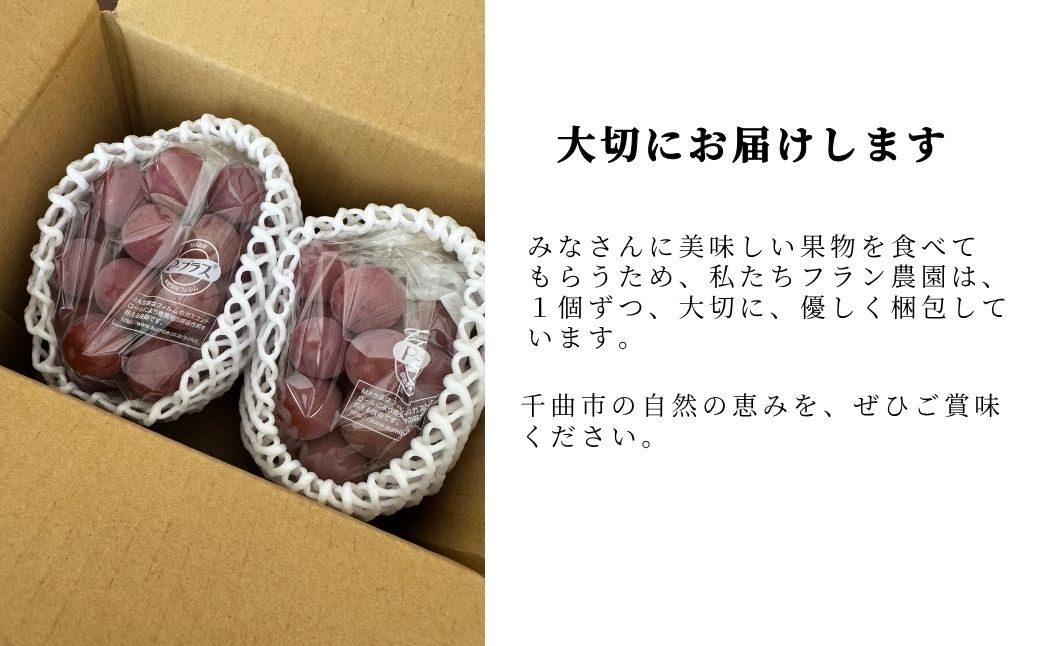 上質な甘みと心地よい酸味、種なしで楽しむ贅沢な味わい