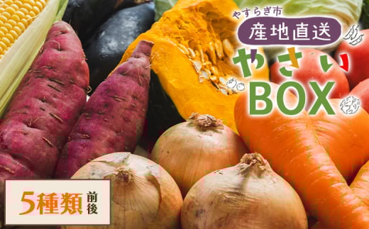 野菜 野菜セット 5種類前後 やさいＢＯＸ やすらぎ市 産地直送 - 野菜 ベジタブル おまかせ 詰め合わせ セット 季節 旬 お任せ お楽しみ ヘルシー 国産 特産品 やすらぎ市 高知県 香南市 yr-0027