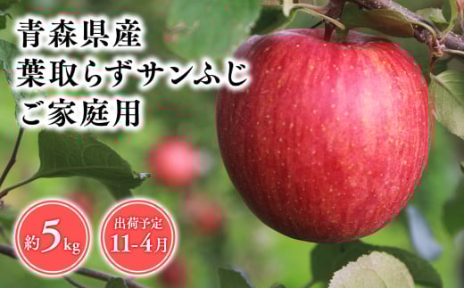 １１月～４月発送　【訳あり】家庭用葉とらずサンふじ5ｋｇ　【そと川りんご園・１１月・１２月・１月・２月・３月・４月・青森県産・平川市・りんご・葉とらずサンふじ・5ｋｇ・訳あり・家庭用】