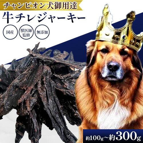 【ふるさと納税】ペット 牛チレジャーキー ( 脾臓 ) 約100g または 約300g 《60日以内に出荷予定(土日祝除く)》NEXT PLANNING 大阪府 羽曳野市 ペット用品 犬用 犬 ジャーキー おやつ 国産 無添加 獣医師監修 送料無料