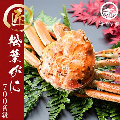 ふるさと納税 宮津市 茹で松葉蟹　1杯(700g級)