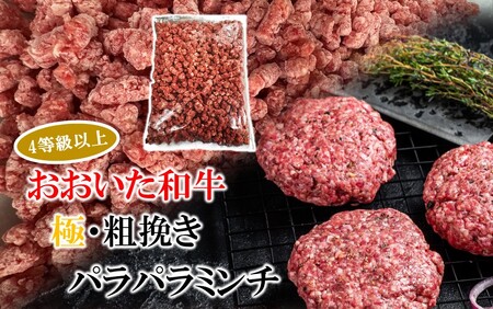 2589R-1_極・粗挽き! 大分県産 牛 ･ 豚 3種のパラパラミンチ 挽肉 各500g×1P ひき肉 あらびき 便利 国産 おおいた和牛 豊後牛