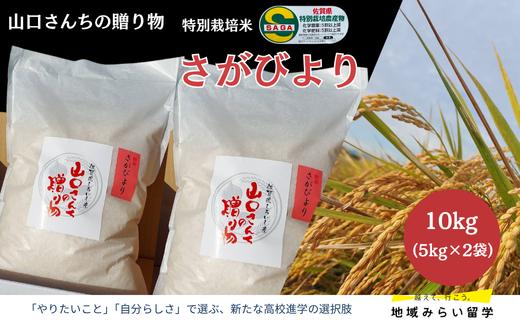 
            【山口さんちの贈り物】特別栽培米 さがびより 10kg 白米
          
