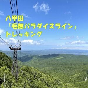 八甲田「毛無パラダイスライン」トレッキング1名様【体験時間:約5時間】【1529761】