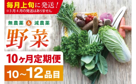 【10ヶ月定期便】★毎月上旬発送★身体が喜ぶ季節の野菜 10～12品目｜野菜 やさい 野菜セット セット 詰め合わせ おまかせ 定期便 野菜定期便 茨城県 行方市(BI-110)