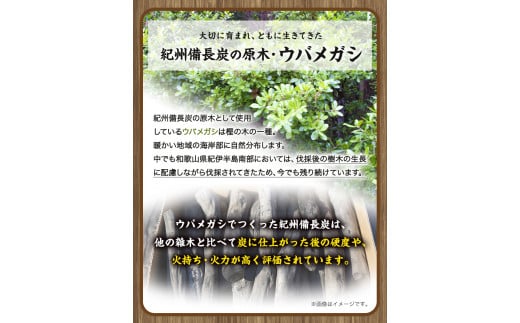 紀州備長炭馬目小丸約15kg株式会社紀《30日以内に出荷予定(土日祝除く)》備長炭炭プロの料理人愛用---wshg_hjm2_30d_23_77000_15kg---｜備長炭備長炭備長炭備長炭備長炭備