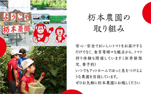 産地直送！杤本農園　フルーツトマトジュース（720ml×6本入り）華小町 フルーツトマト とまと 野菜飲料 贈答 ギフト トマト トマトジュース 野菜ジュース