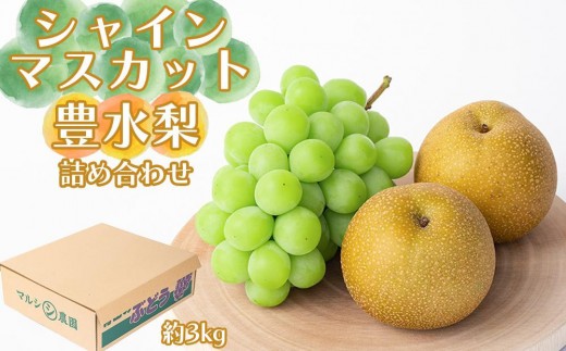 
                  シャインマスカット、豊水梨　詰め合わせ約3kg箱
                
