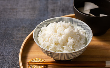 青森県産　まっしぐら　白米10kg_ 精米 米 _【配送不可地域：離島・沖縄県】【1252094】