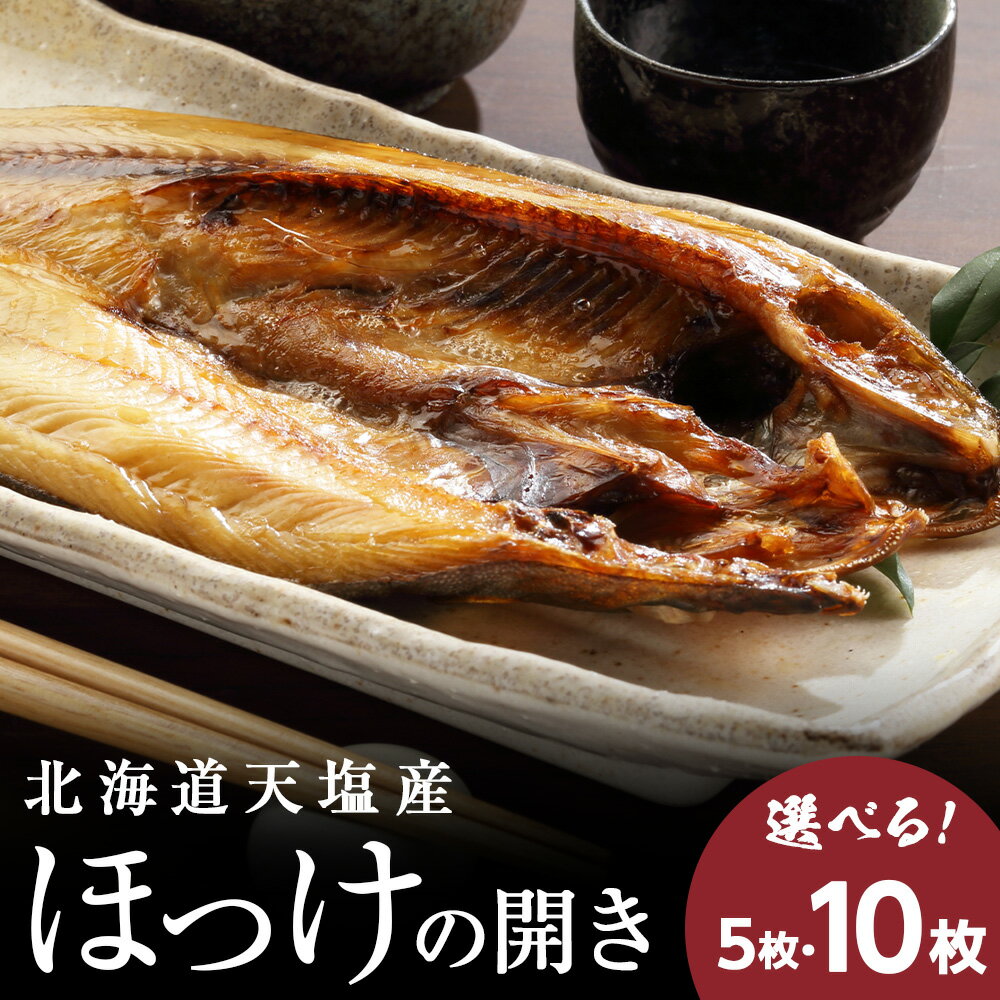 【ふるさと納税】北海道産 ほっけ ホッケの開き 脂乗り抜群 天塩 ホッケ 選べる5枚〜10枚セット ふるさと納税 北海道