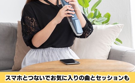 シンセサイザー エアロフォンミニ 楽器 シンセサイザー