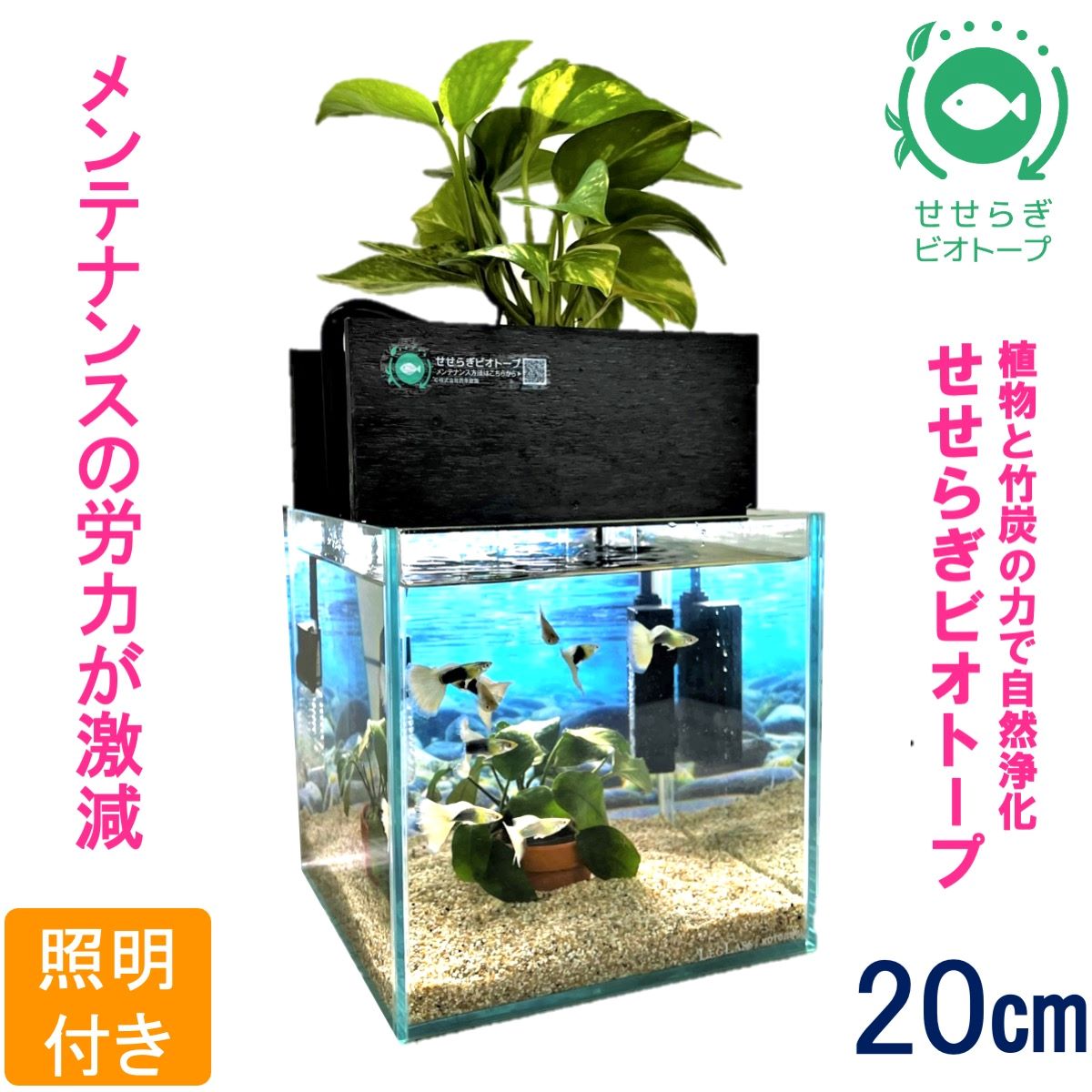 水槽セット　せせらぎビオトープ　20cm型照明　植物　魚　(黒）