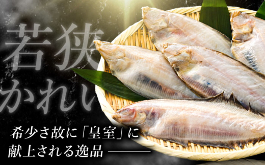 国産 若狭かれい 一夜干し 600g (5〜6枚) ヤナギムシカレイ | カレイ かれい 鰈 干物 一夜干し 焼き魚 魚介 冷凍 小分け お手軽 時短 時短料理 魚貝類 タイ 鯛 加工品 おかず 朝食