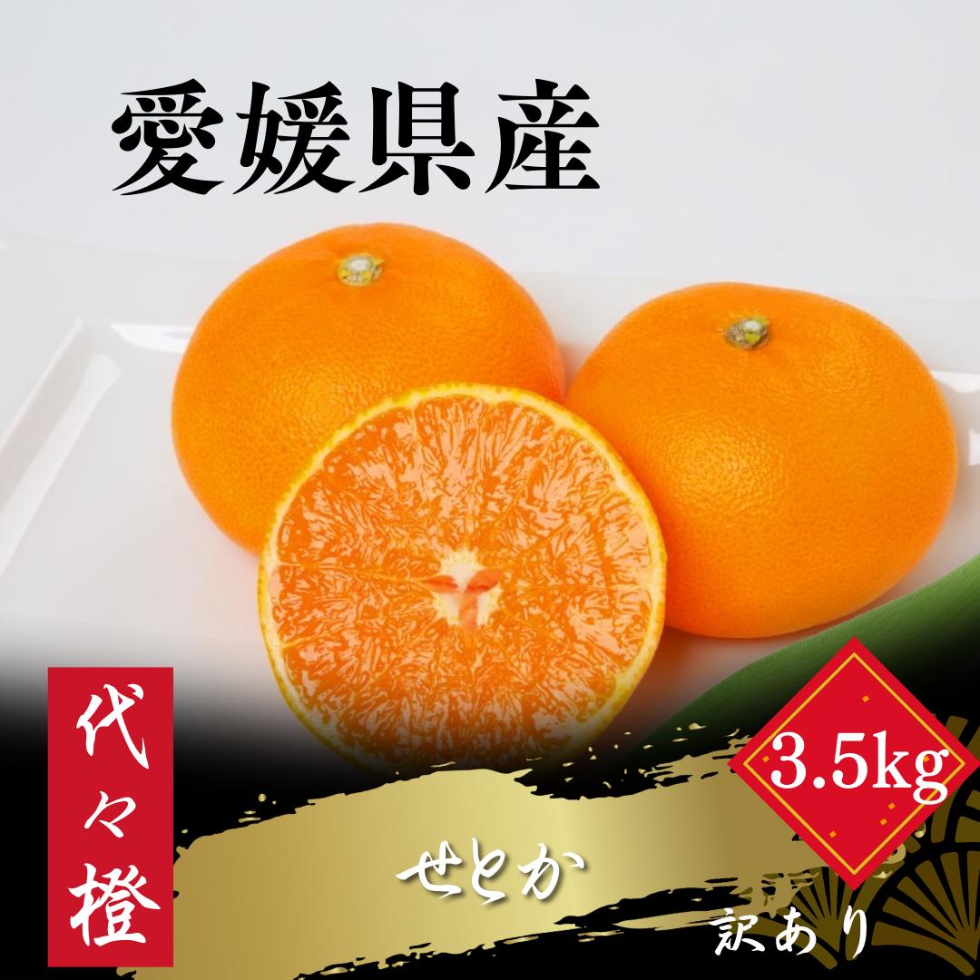 【先行受付】代々橙せとか【訳あり】3.5kg【C83-54】【1633818】 YWTW054