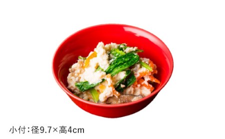 【波佐見焼】赤紅（あかべに）色 6型セット 小皿 茶碗 小鉢 大皿  食器 皿 【DRESS】 [SD10] 波佐見焼