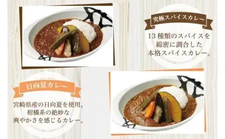 無添加で安心安全！スパイス香る本格カレー5種（200g×10食） カレー スパイス レトルト 5種 200g 10食 スパイスカレー キーマカレー レトルトカレー 無添加 セット 詰め合わせ ご当地 