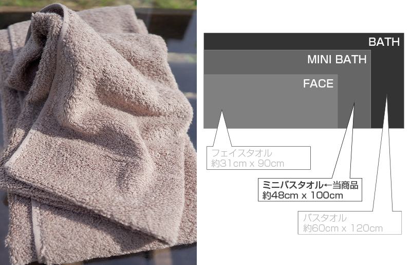 【スピード発送】 エアーミニバスタオル 2枚（ブラウン）【泉州タオル 国産 吸水 普段使い シンプル 日用品 家族 ファミリー】 099H1891