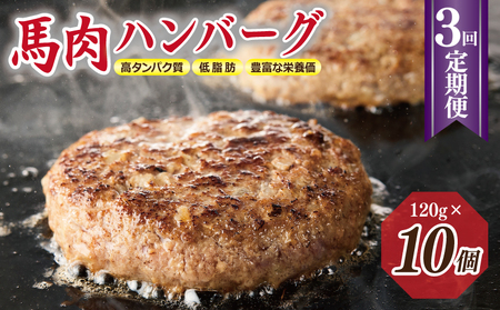 【定期便】 桜文 馬肉ハンバーグ 120ｇ×10個 全3回 【毎月配送コース】