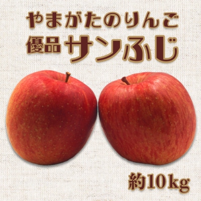 【2024年11月～12月発送分】「優品」山形のりんご(サンふじ)約10kg_H171(R6)