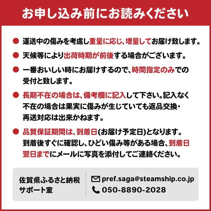【2026年9月中旬以降発送】早熟みかん 計3kg（2.6kg＋400g傷み保証分） / みかん 柑橘 / 佐賀県 / 山本農園 [41ATBT001]