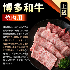 【A4～A5】博多和牛焼肉用(500g) 国産 九州産 福岡県産 牛肉 和牛 黒毛和牛 やきにく お肉【MEAT PLUS】as08-001