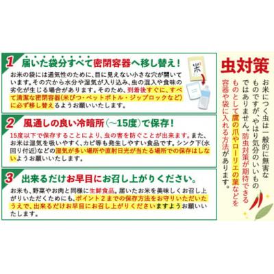 ふるさと納税 氷川町 令和7年産 無洗米 清流きたかの米 10kg《2月出荷予定》 |  | 03
