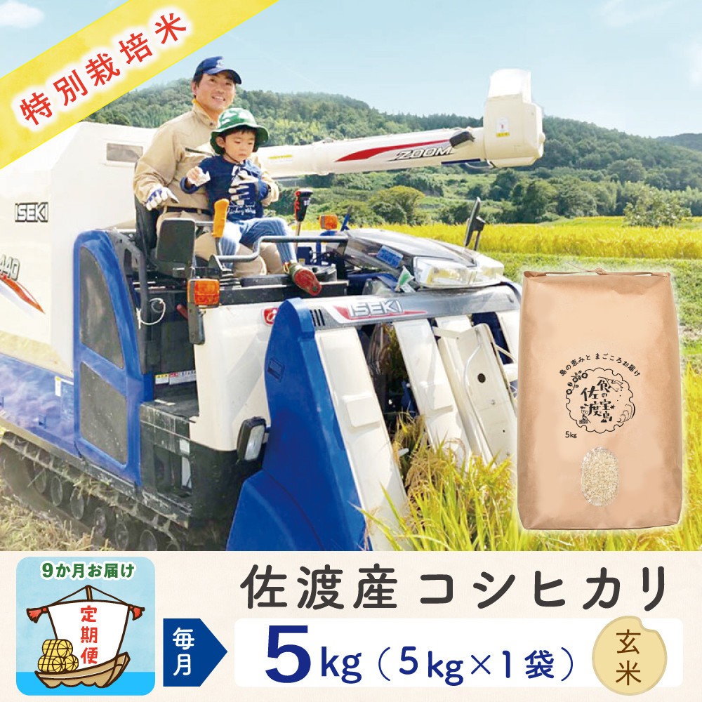 【令和8年産新米 9ヶ月】佐渡島産コシヒカリ 玄米 5kg 特別栽培米195962-3243