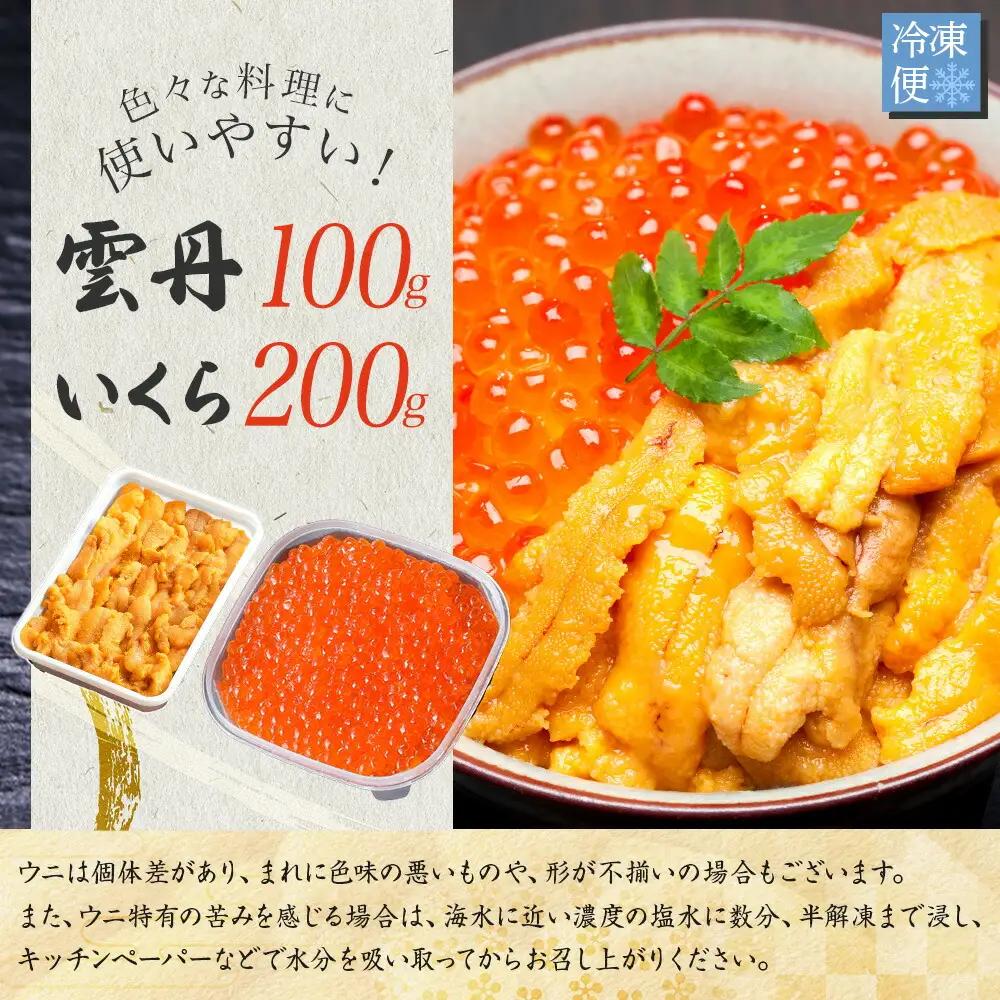 うに 100g いくら醤油漬け 200g ウニ チリ産 冷凍 いくら 二色丼 雲丹 イクラ 海鮮 海鮮丼 うに丼 いくら丼 いくら醤油漬け 送料無料 北海道 弟子屈町 3590