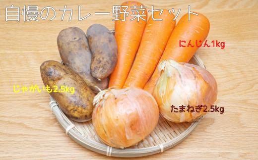 自慢のカレー野菜セット【A63】