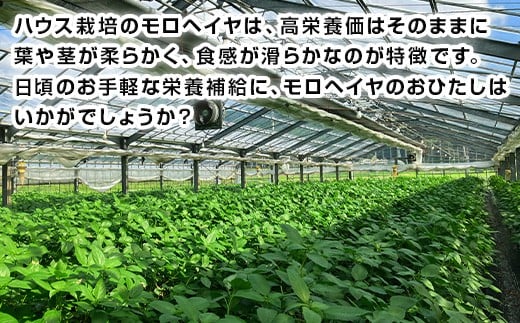 ビタミンAの元となるβカロテンや、ビタミンB1・B2・C・K、カルシウム、
カリウム、葉酸など、豊富な栄養素を含む夏野菜です。