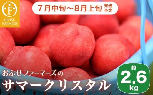 サマークリスタル 約2.6kg ［おぶせファーマーズ］先行予約 ネクタリン 果物 フルーツ 冷蔵便 クール便 長野県産 信州産  令和8年産【2026年7月中旬～8月上旬発送】
