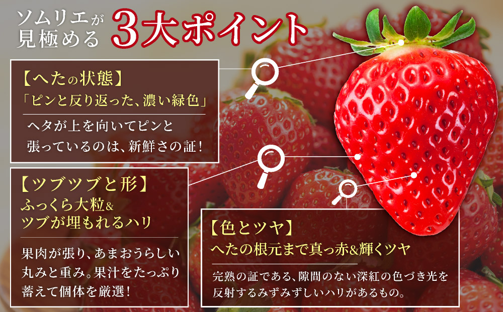 アフター保証対象！【先行予約】福岡産 春 あまおう 4パック（2月上旬より発送）|苺 いちご イチゴ 完熟 あかい まるい おおきい うまい フルーツ 果物 デザート 期間限定 産地直送 冷蔵 お取り