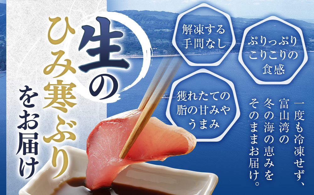 【先行予約】【期間限定】 ひみ寒ぶり ぶりしゃぶ用 5～6人前　〈配送地域限定〉